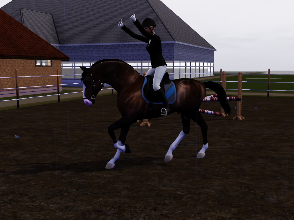 Sims 3 Pferde Download